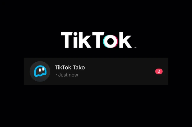 TikTok Tako Chatbot Berbasis Kecerdasan Buatan